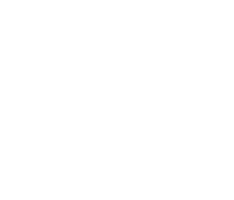 生态